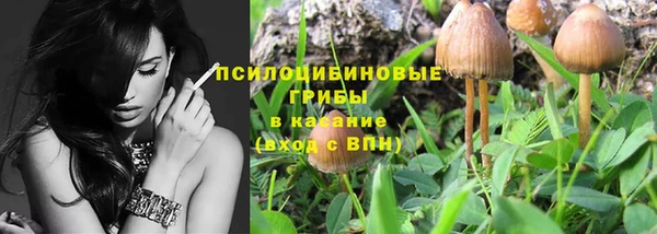 гашик Богородицк
