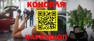 прущая мука Ставрополь