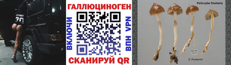 Галлюциногенные грибы GOLDEN TEACHER  hydra как зайти  Борисоглебск 