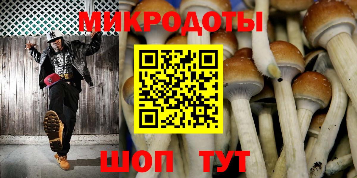 Галлюциногенные грибы Cubensis  Вход с VPN  Псилоцибиновые грибы Cubensis  Борисоглебск 