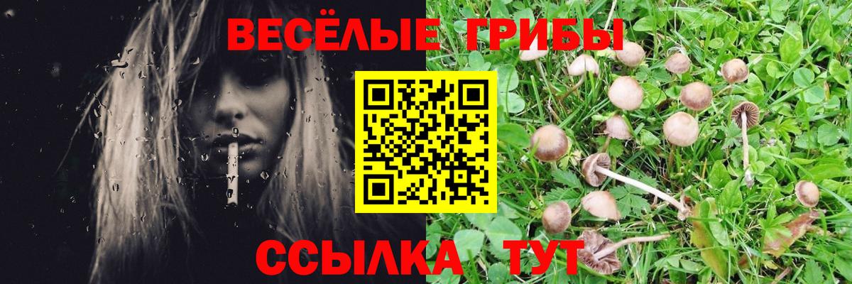 Галлюциногенные грибы GOLDEN TEACHER Борисоглебск